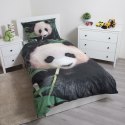 Pościel bawełniana 140x200 Miś Panda pandy liście 6435 poszewka 70x90 bear Pościel bawełniana 140x200 Miś Panda pandy liście 6435 poszewka 70x90 bear