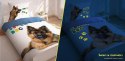 Pościel świecąca w ciemności 140x200 3366 A Pies Owczarek Niemiecki psy super dog biała niebieska bawełniana Detexpol Pościel świecąca w ciemności 140x200 3366 A Pies Owczarek Niemiecki psy super dog biała niebieska bawełniana Detexpol