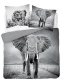 Pościel bawełniana 220x200 3813 A Słoń szara młodzieżowa Słonie elephant Holland Natura 2 Pościel bawełniana 220x200 3813 A Słoń szara młodzieżowa Słonie elephant Holland Natura 2