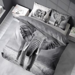 Pościel bawełniana 220x200 3813 A Słoń szara młodzieżowa Słonie elephant Holland Natura 2