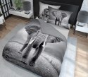 Pościel bawełniana 220x200 3813 A Słoń szara młodzieżowa Słonie elephant Holland Natura 2 Pościel bawełniana 220x200 3813 A Słoń szara młodzieżowa Słonie elephant Holland Natura 2