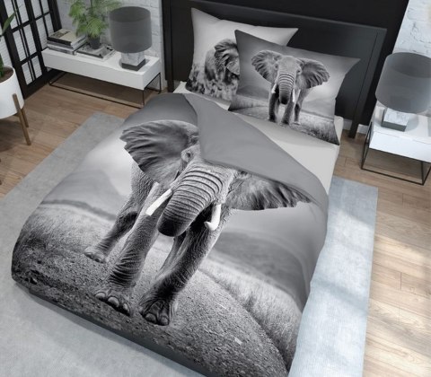 Pościel bawełniana 220x200 3813 A Słoń szara młodzieżowa Słonie elephant Holland Natura 2 Pościel bawełniana 220x200 3813 A Słoń szara młodzieżowa Słonie elephant Holland Natura 2