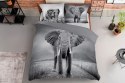 Pościel bawełniana 220x200 3813 A Słoń szara młodzieżowa Słonie elephant Holland Natura 2 Pościel bawełniana 220x200 3813 A Słoń szara młodzieżowa Słonie elephant Holland Natura 2
