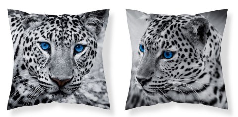 Poszewka dziecięca 40x40 gepard MF 02 Kids 114 Poszewka dziecięca 40x40 gepard MF 02 Kids 114