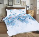 Pościel bawełniana 220x200 Motylki biała niebieska Universal Matex Pościel bawełniana 220x200 Motylki biała niebieska Universal Matex