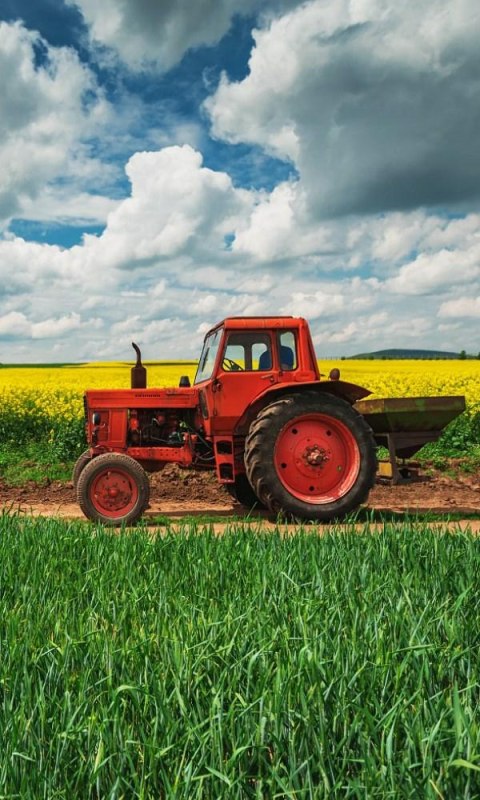 Ręczniczek do przedszkola 30x50 Traktor traktor dziecięcy Babies