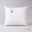 Poduszka puchowa 90% 50x70 Silver trzykomorowa 600g + 100g srebrzysta kremowa AMZ Poduszka puchowa 90% 50x70 Silver trzykomorowa 600g + 100g srebrzysta kremowa AMZ
