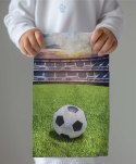 Ręczniczek do przedszkola 30x50 Piłka zielony niebieski dziecięcy bawełniany 23T Ręczniczek do przedszkola 30x50 Piłka zielony niebieski dziecięcy bawełniany 23T