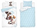 Pościel bawełniana 100x135 5002 A Pieski biała niebieska piłki Mayamoo 22 Pościel bawełniana 100x135 5002 A Pieski biała niebieska piłki Mayamoo 22