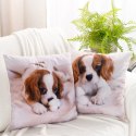 Poszewka dekoracyjna 45x45 Animal 72 Piesek Eurofirany