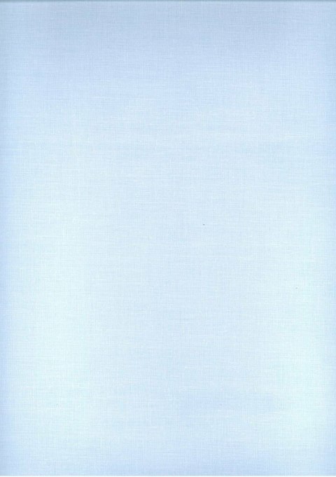 Poszewka bawełniana 50x70 błękitna 10 jednobarwna Poszewka bawełniana 50x70 błękitna 10 jednobarwna