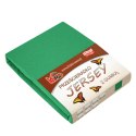 Prześcieradło jersey z gumką 200x220 zielone trawiaste 049 grube 150g/m2 KARO Prześcieradło jersey z gumką 200x220 zielone trawiaste 049 grube 150g/m2 KARO
