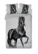 Pościel bawełniana 160x200 Koń czarny perkal 8763 konik w galopie horse młodzieżowa Faro Pościel bawełniana 160x200 Koń czarny perkal 8763 konik w galopie horse młodzieżowa Faro
