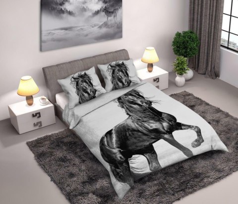 Pościel bawełniana 160x200 Koń czarny perkal 8763 konik w galopie horse młodzieżowa Faro Pościel bawełniana 160x200 Koń czarny perkal 8763 konik w galopie horse młodzieżowa Faro