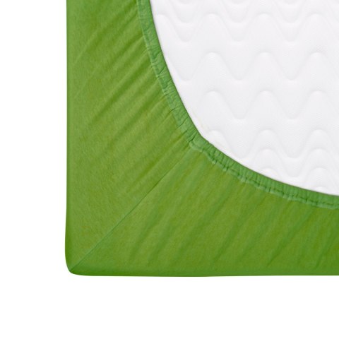 Prześcieradło jersey z gumką 160x200 033 kaktusowe Darymex Prześcieradło jersey z gumką 160x200 033 kaktusowe Darymex